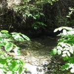 Photo 26 for 80 acres on Potato Creek - Hayfork, CA