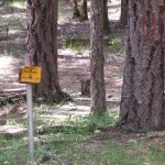 Photo 27 for 80 acres on Potato Creek - Hayfork, CA