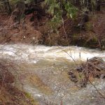 Photo 4 for 80 acres on Potato Creek - Hayfork, CA