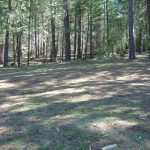 Photo 3 for 80 acres on Potato Creek - Hayfork, CA