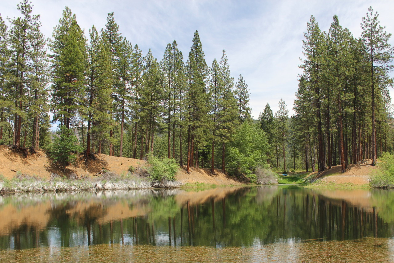 Oro Fino Pond - 10 acre Homesite - California Outdoor ...