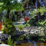 Photo 9 for Falling Waters Lodge