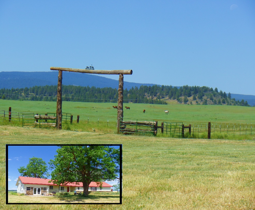 California Cattle Ranches for Sale