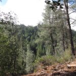 Photo 14 for Wilderness Camp near Hayfork, CA