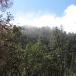 Photo 15 for Wilderness Camp near Hayfork, CA