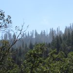 Photo 17 for Wilderness Camp near Hayfork, CA