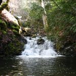 Photo 2 for Wilderness Camp near Hayfork, CA