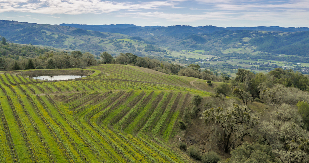 Anderson best sale valley wineries