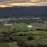 Photo 39 for Anderson Valley Estate Winery and Vineyard
