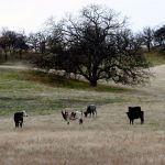 Photo 39 for Elder Creek Ranch