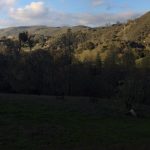 Photo 12 for Eastern Foothills of Napa Valley at Sage Canyon
