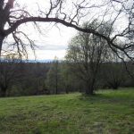 Photo 33 for Marianas Meadow Ranch