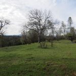 Photo 34 for Marianas Meadow Ranch