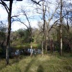 Photo 31 for Blue Oaks Ranch