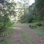 Photo 7 for Shirt Tail Creek