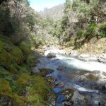 Photo 17 for Shirt Tail Creek