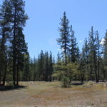 Photo 6 for Kidder Creek West - 5 Acre Scott Valley Homesite