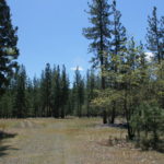 Photo 5 for Kidder Creek West - 5 Acre Scott Valley Homesite