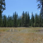 Photo 2 for Kidder Creek West - 5 Acre Scott Valley Homesite