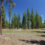 Photo 1 for Kidder Creek West - 5 Acre Scott Valley Homesite