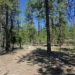 Photo 13 for Kidder Creek West - 5 Acre Scott Valley Homesite