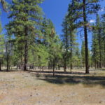 Photo 14 for Kidder Creek West - 5 Acre Scott Valley Homesite