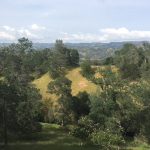 Photo 8 for Summertime Fun at Lake Berryessa