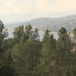 Photo 3 for Summertime Fun at Lake Berryessa