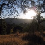 Photo 3 for Circle Oaks Level Building Lot/Ridgecrest