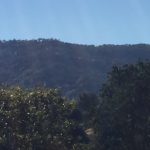 Photo 5 for Circle Oaks Level Building Lot/Ridgecrest