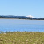 Photo 6 for Dillon Lake Ranch