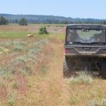 Photo 16 for Dillon Lake Ranch