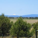 Photo 40 for Dillon Lake Ranch