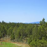Photo 42 for Dillon Lake Ranch