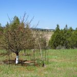Photo 43 for Dillon Lake Ranch