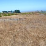 Photo 17 for Alder Creek 100 acres