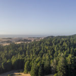 Photo 5 for Crispin Redwood Property