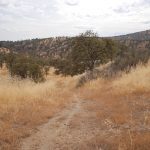 Photo 11 for Middle Baker Ranch