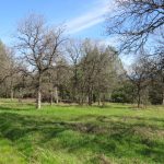 Photo 11 for Panorama Equine Vacant Land