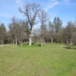 Photo 12 for Panorama Equine Vacant Land