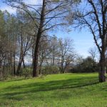 Photo 14 for Panorama Equine Vacant Land