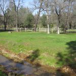 Photo 18 for Panorama Equine Vacant Land