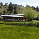 Photo 3 for Triple Creek Ranch