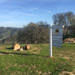 Photo 5 for Eastridge Lot at Lake Berryessa
