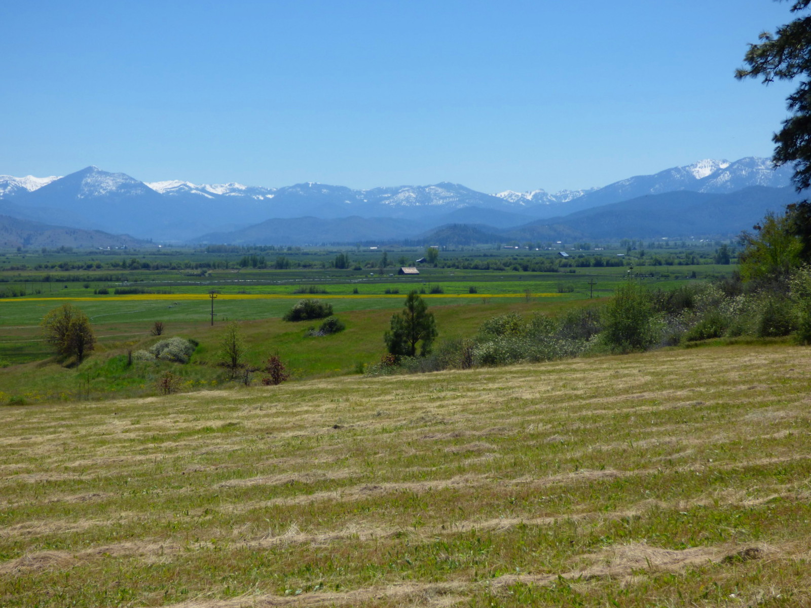 Rentals In Scotts Valley California at Oscar Borunda blog