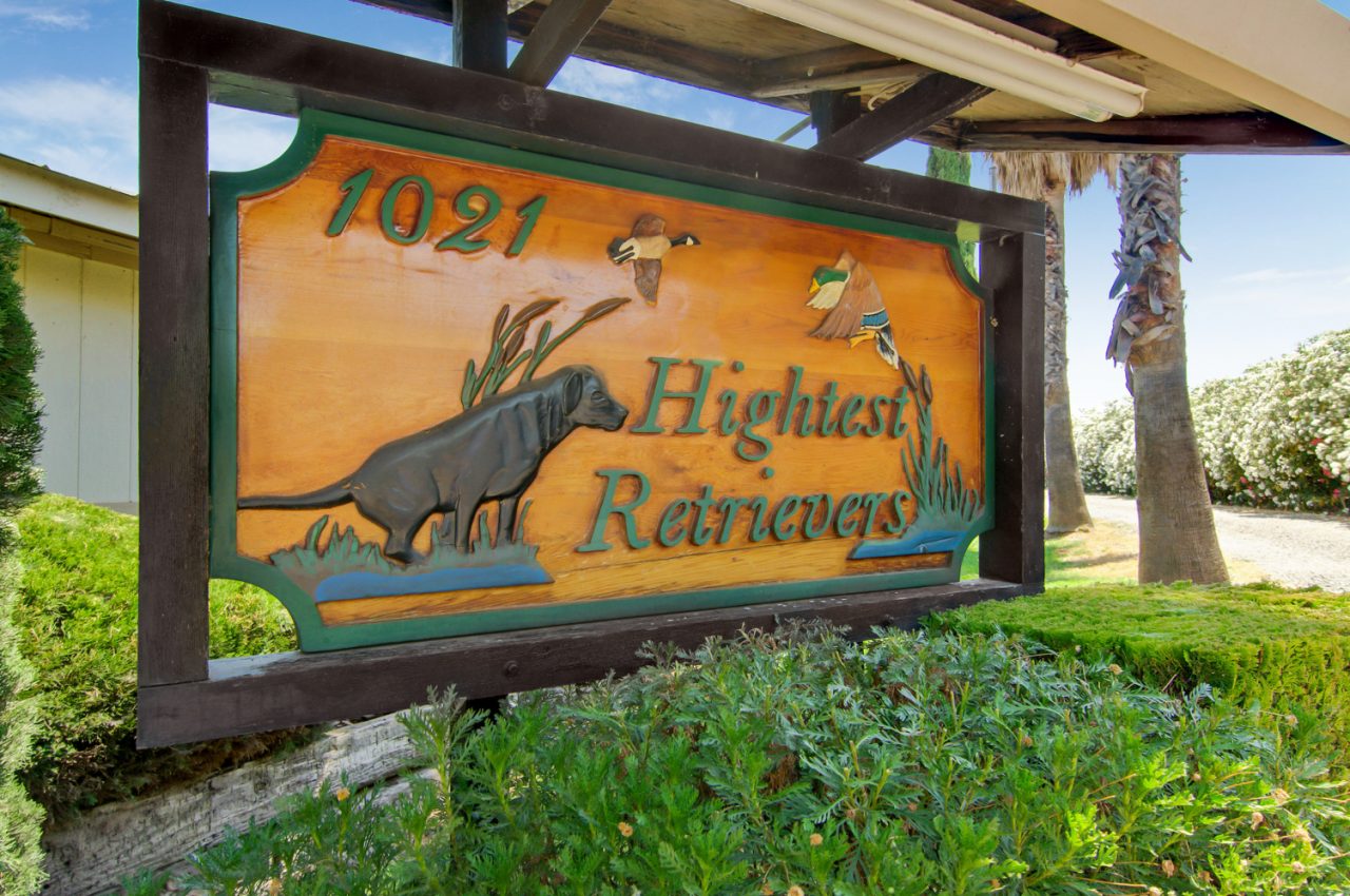 Hightest retrievers hot sale