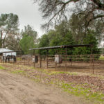 Photo 32 for Tyson Quarter Horse Ranch