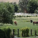Photo 10 for Landmark Kernville Ranch