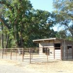 Photo 34 for Tyson Quarter Horse Ranch