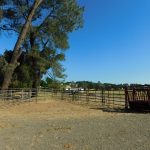 Photo 39 for Tyson Quarter Horse Ranch